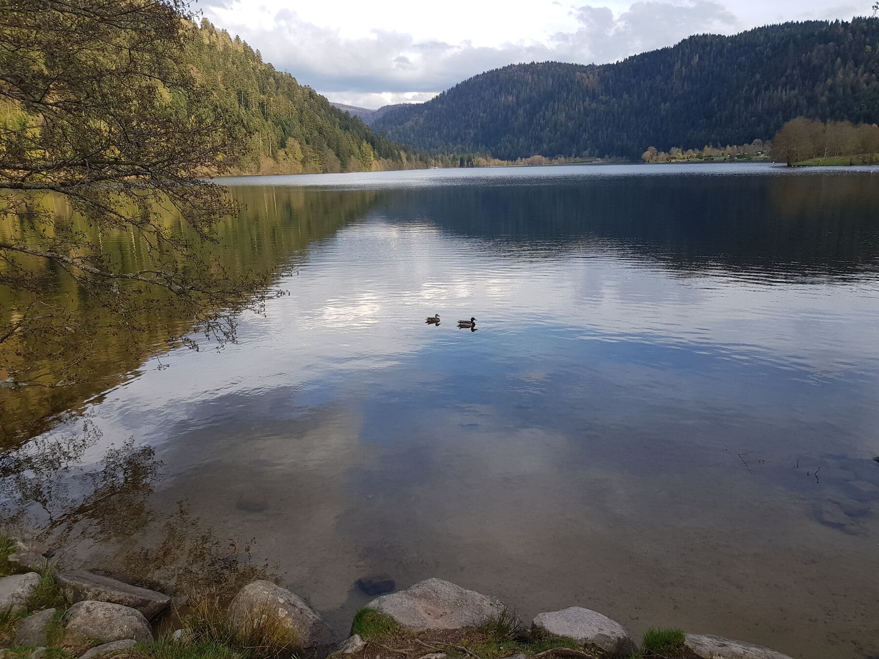 Le lac au calme, en fin de journée
