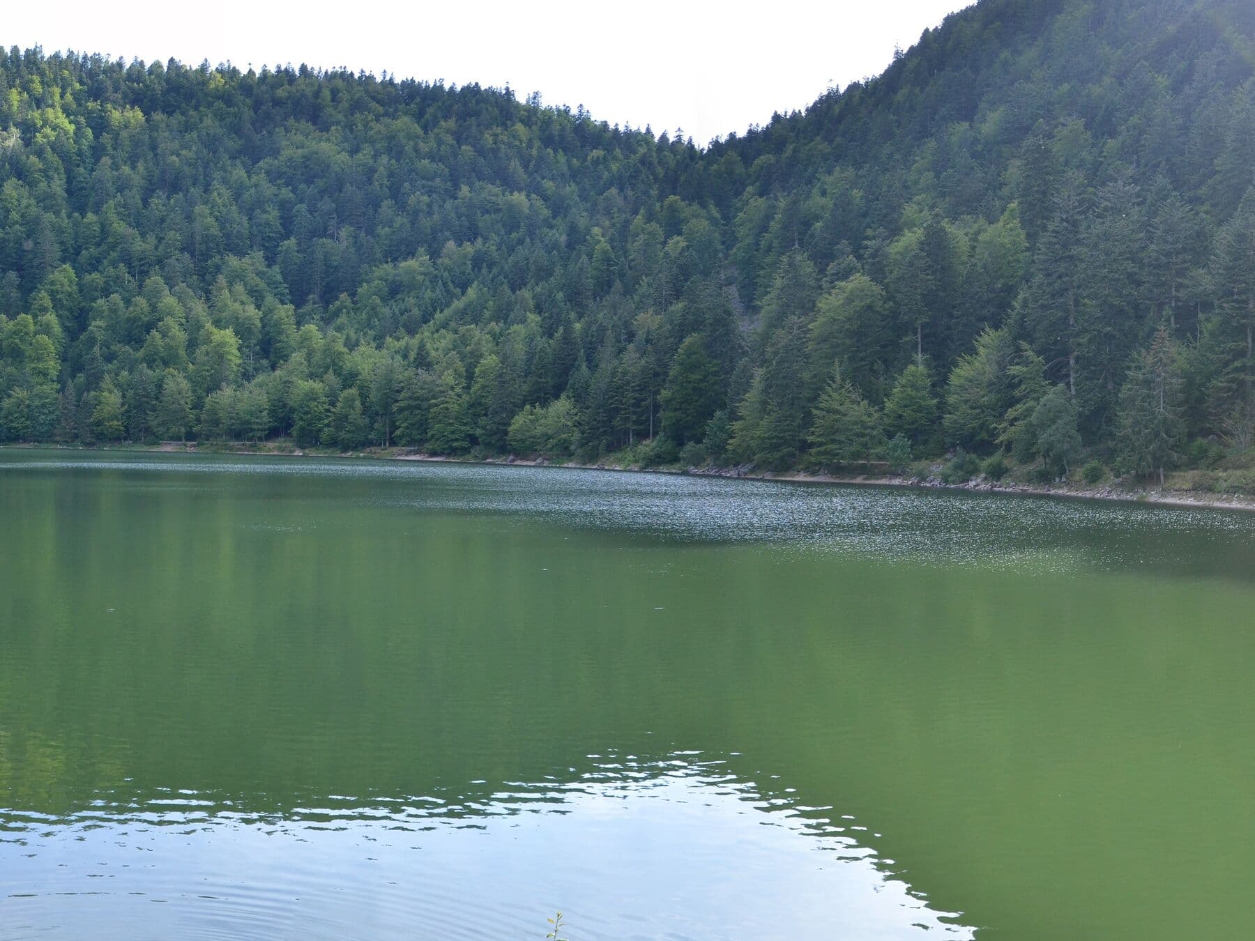 Panorama sur l’ensemble du lac