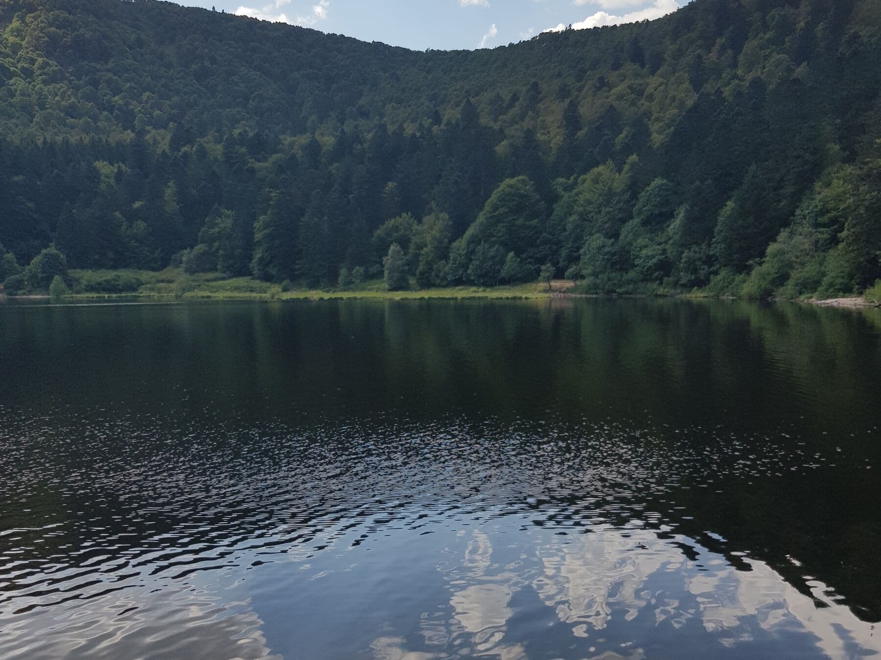 L’eau sombre sous la forêt