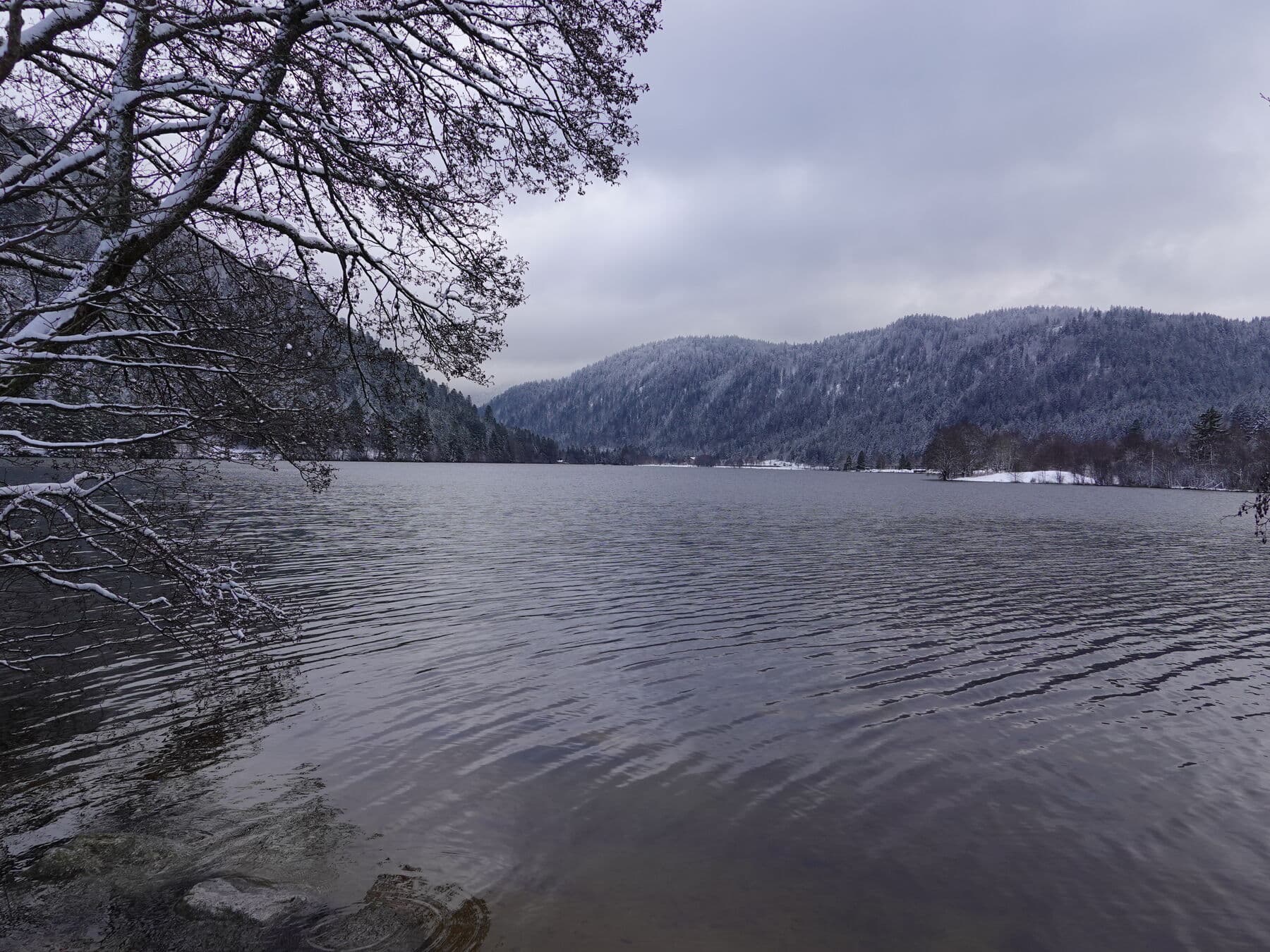 L’eau sombre en hiver