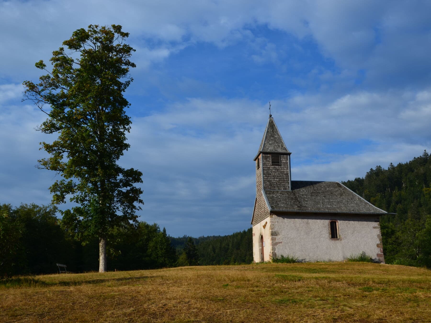 La chapelle et son arbre, l’été