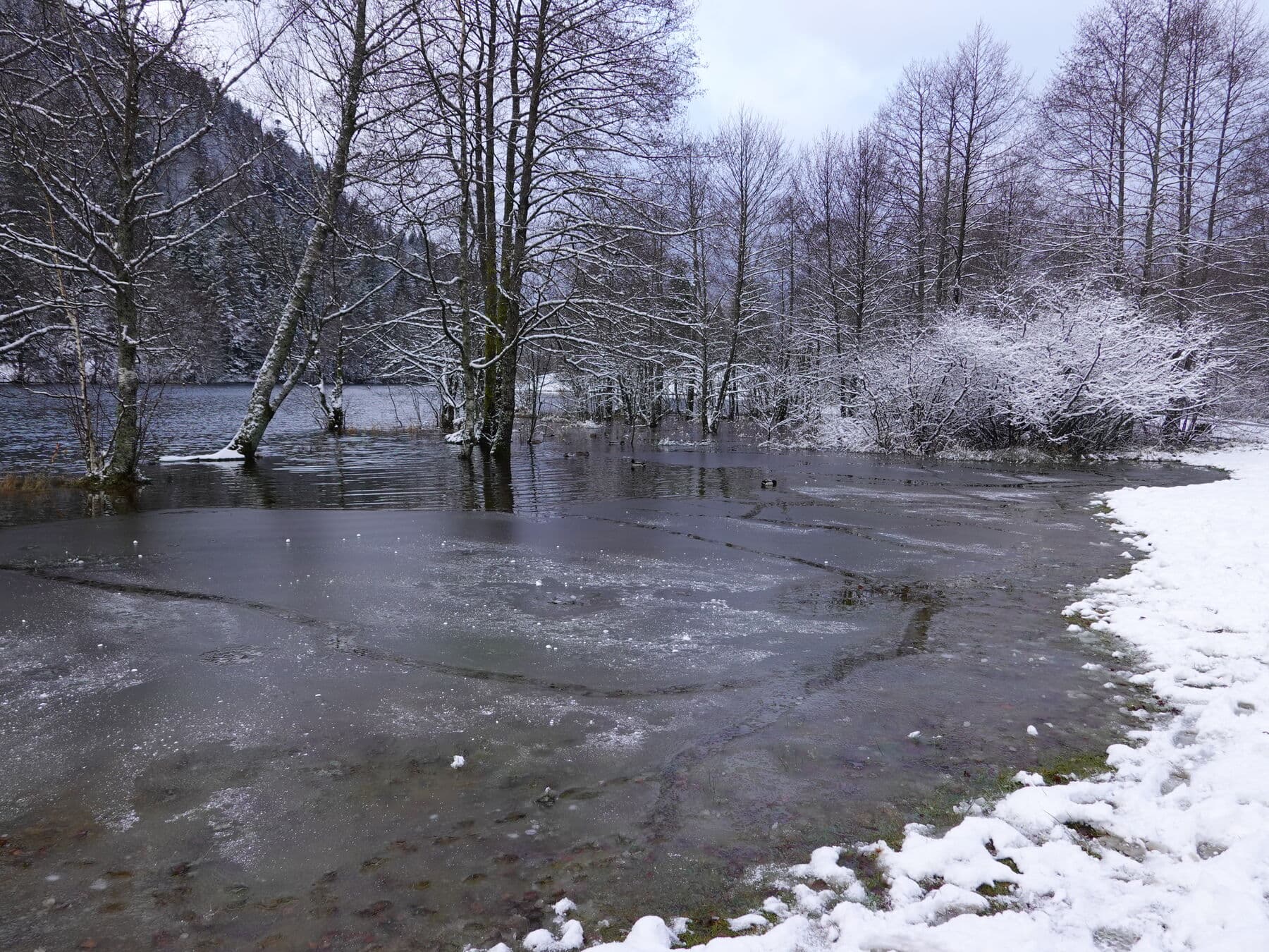 Les bords pris par la glace