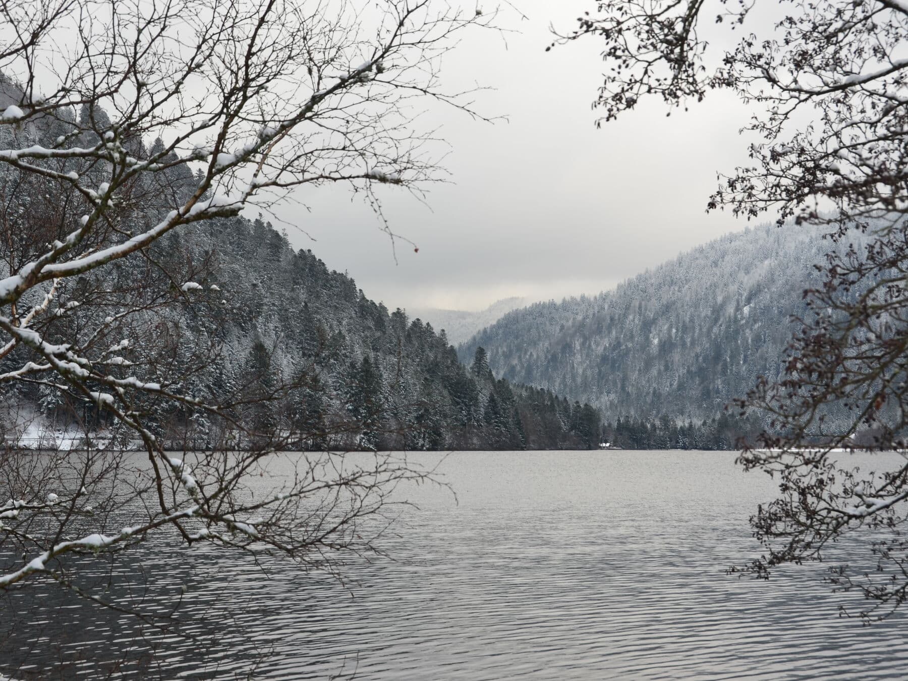 Le lac depuis la rive