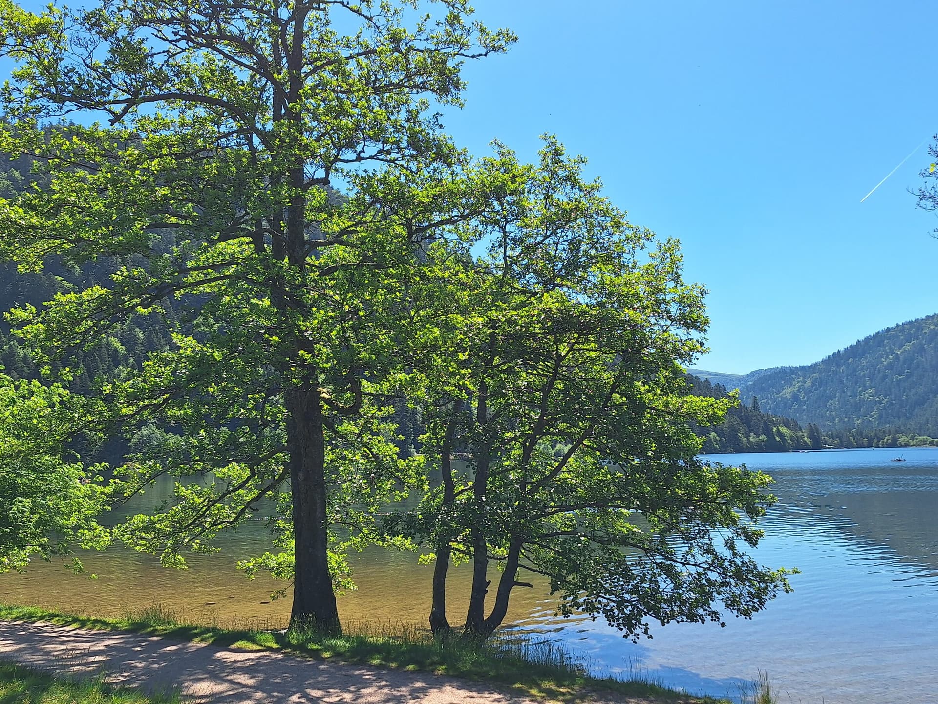 Les lacs