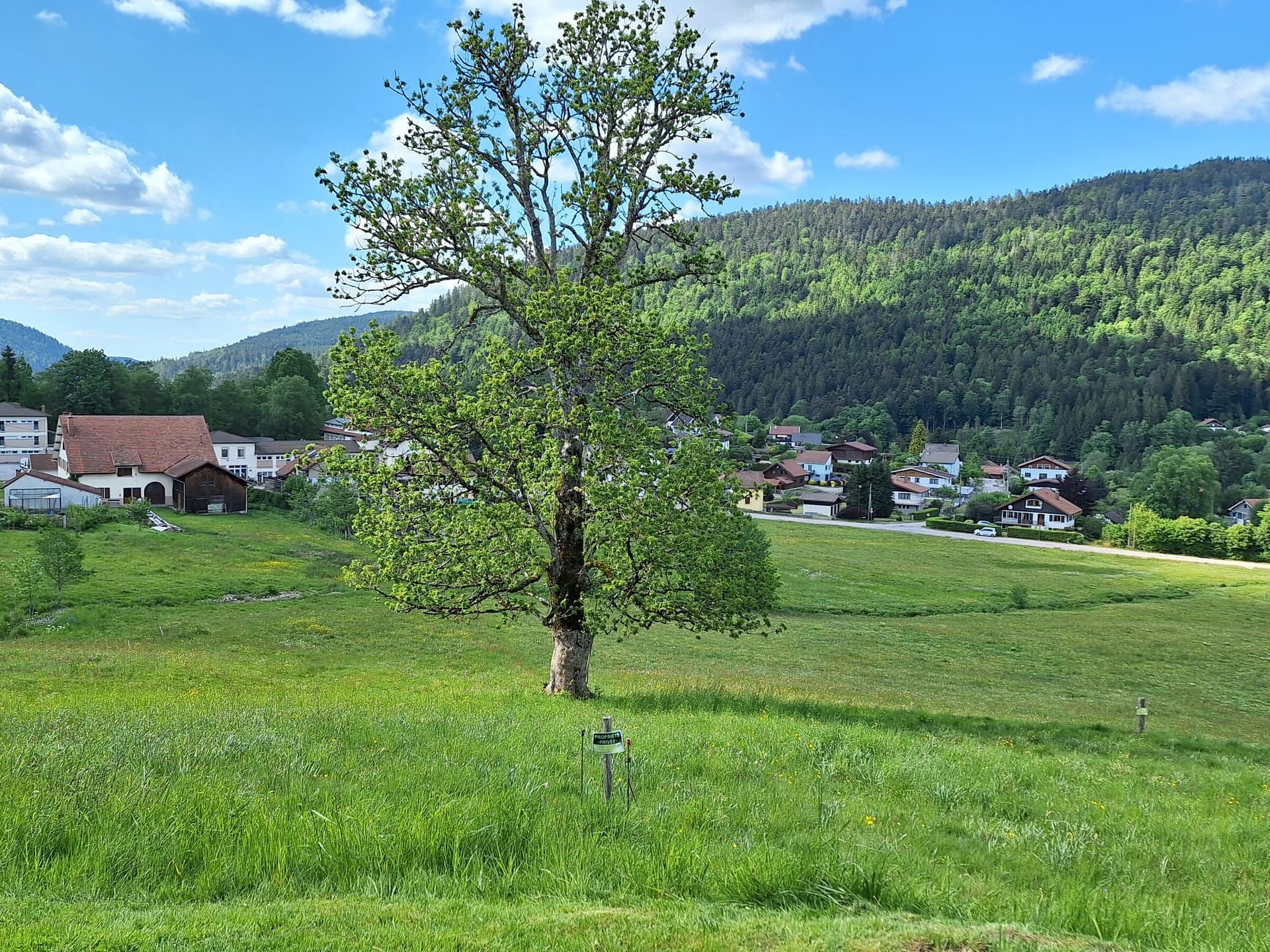Prairie et village depuis le chalet