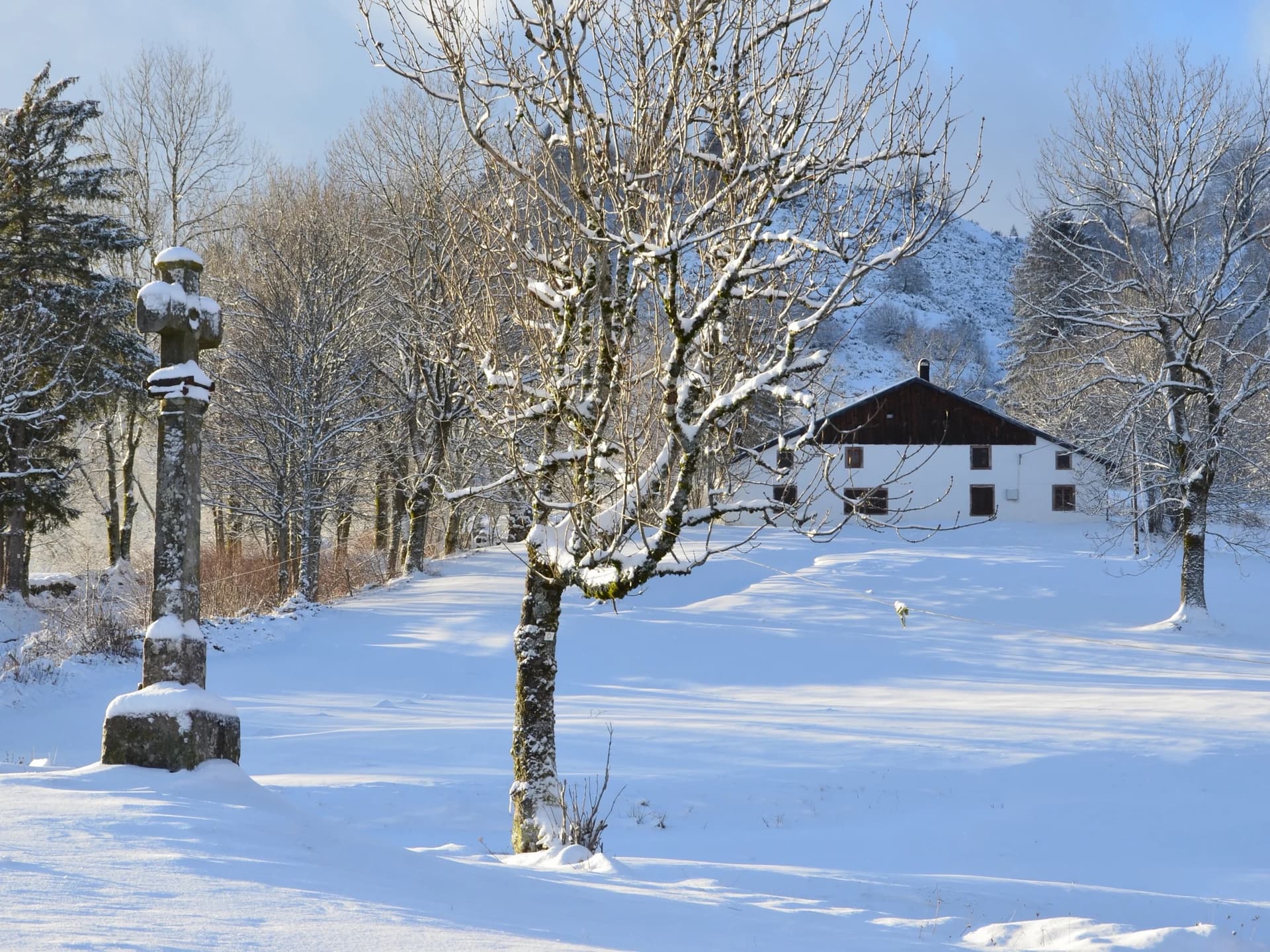 Activités hiver