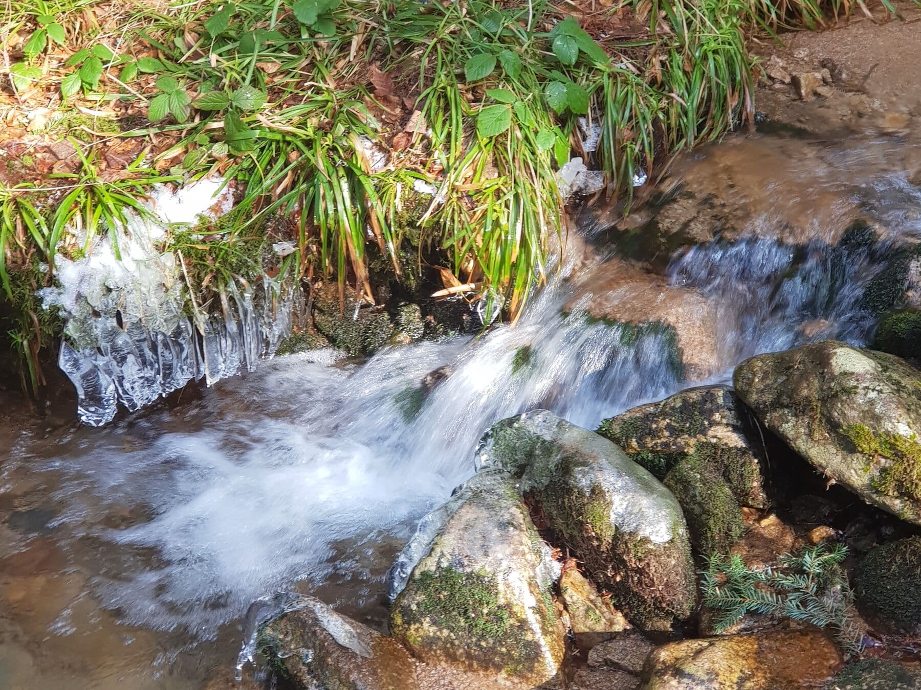 Le ruisseau sous la glace