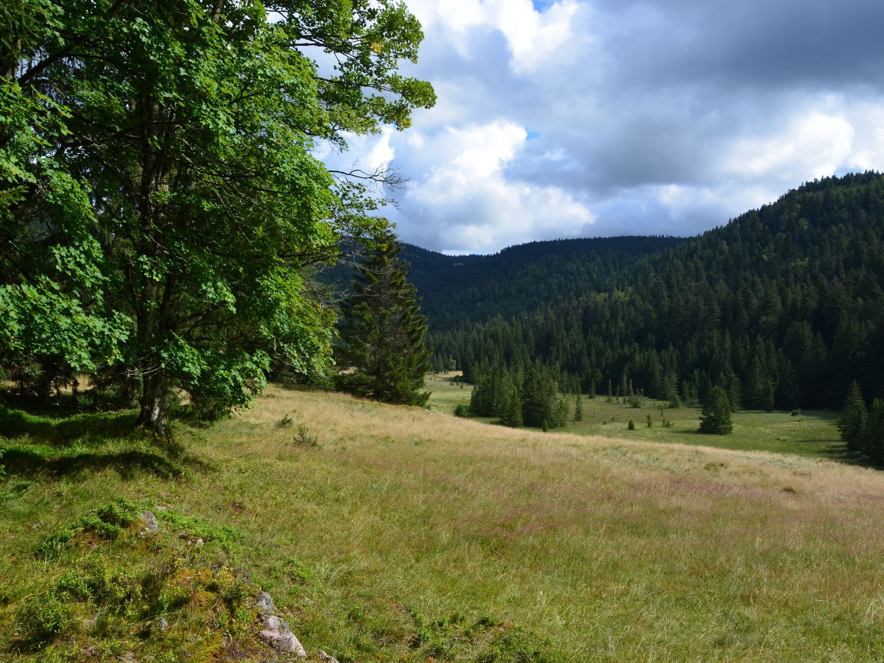 Le vallon de Belbriette