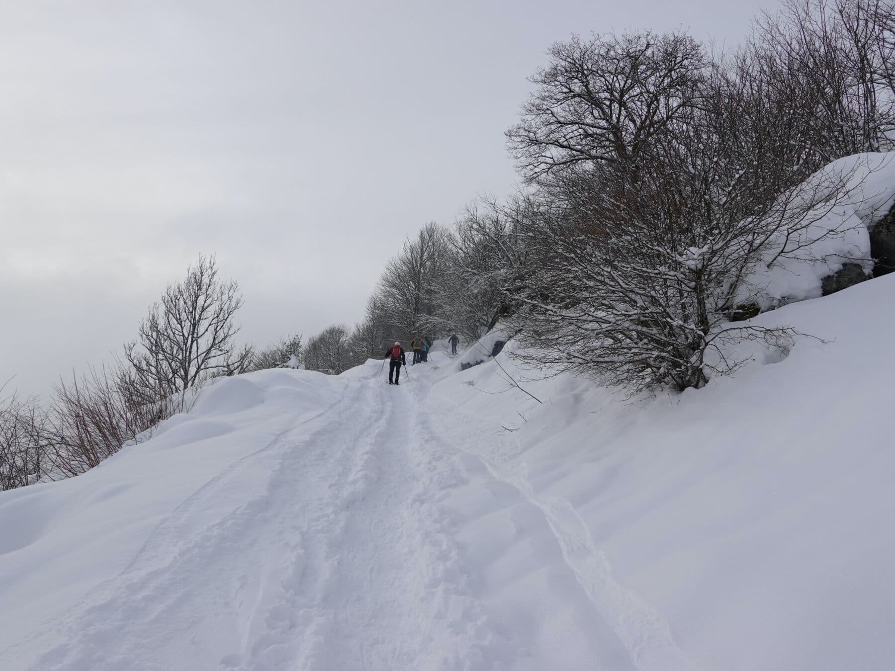La trace dans la neige