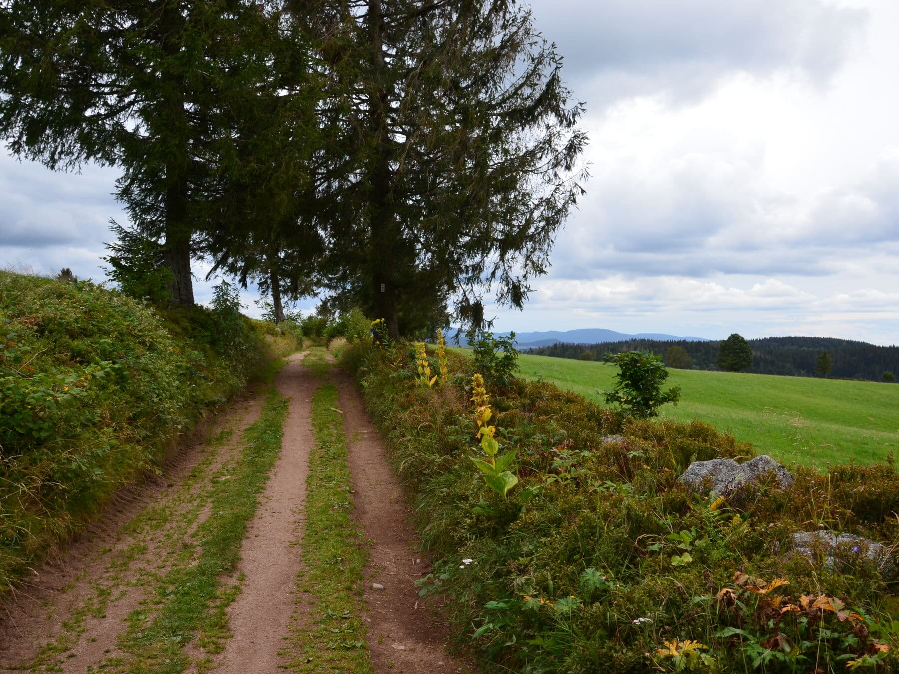 Le chemin qui y mène