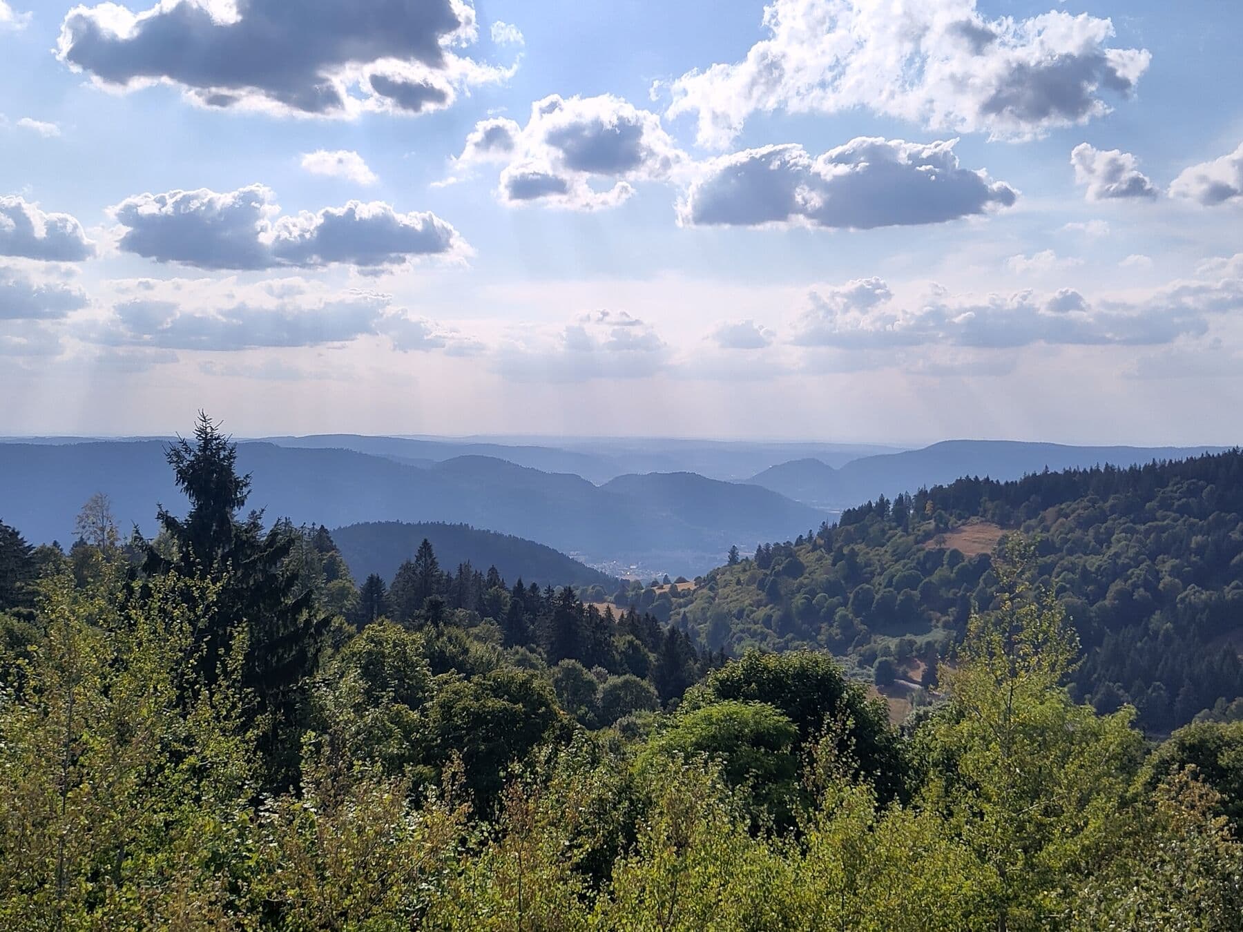 La vue depuis le sommet