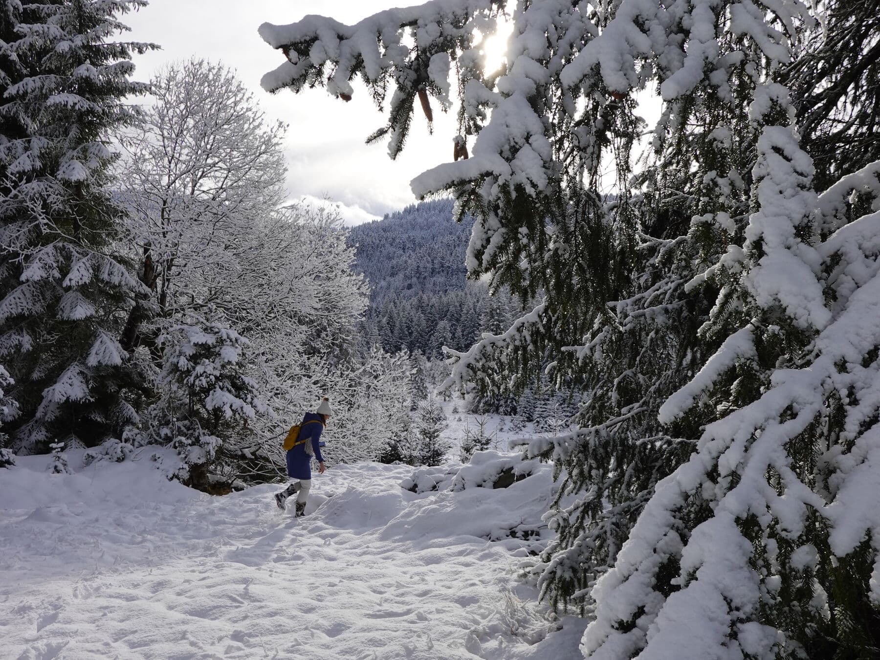Sur le sentier