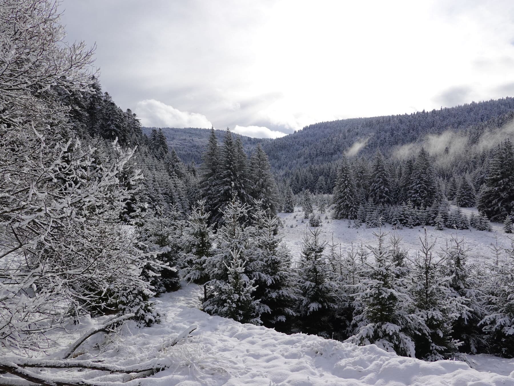 La vallée blanche