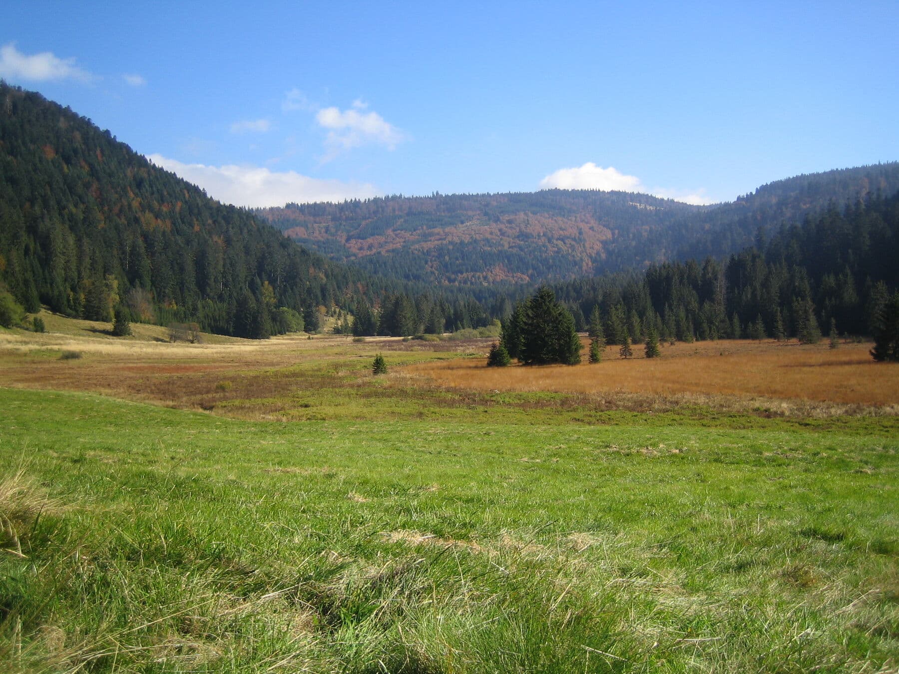 Le vallon en fin d’été
