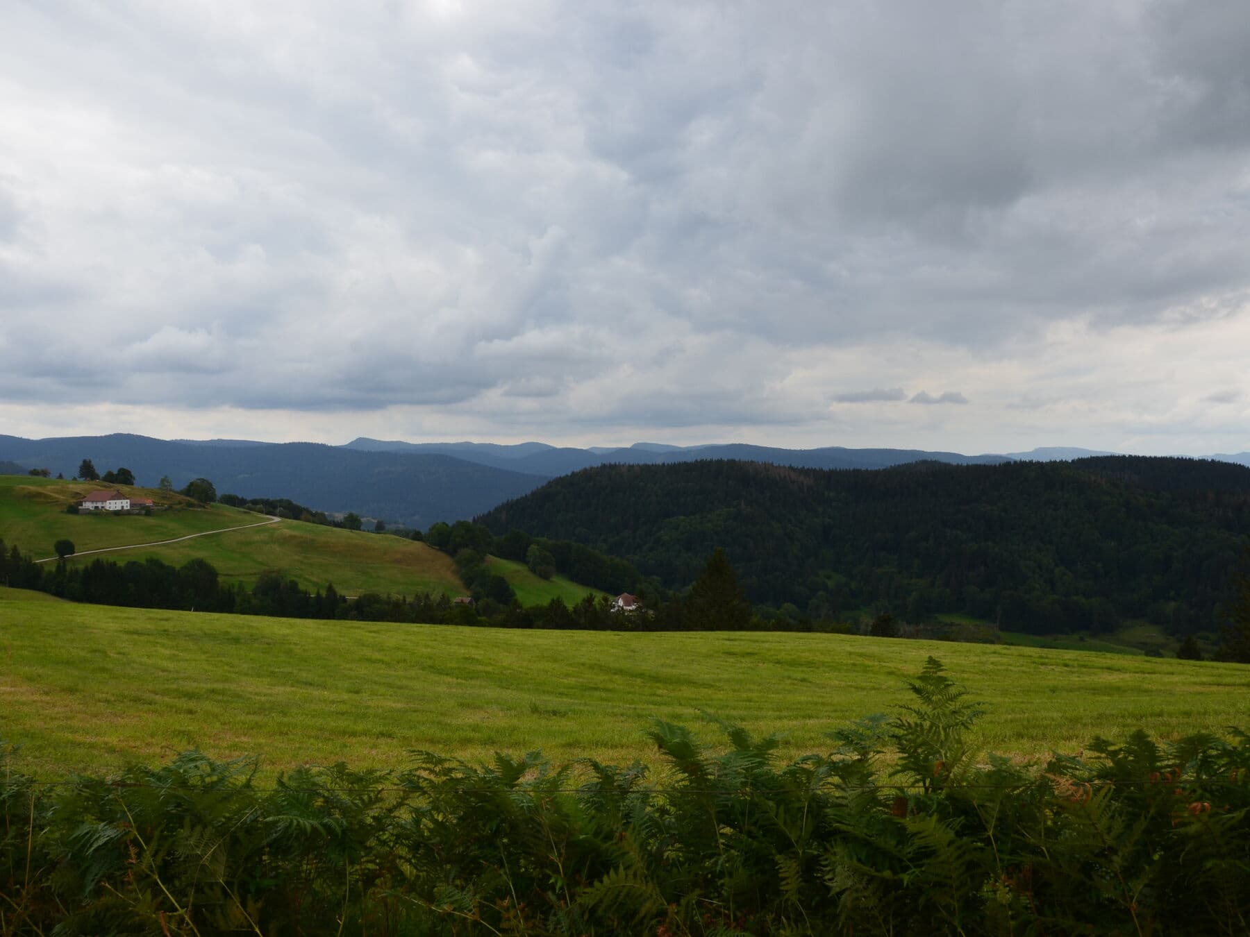 Les chaumes ouvertes