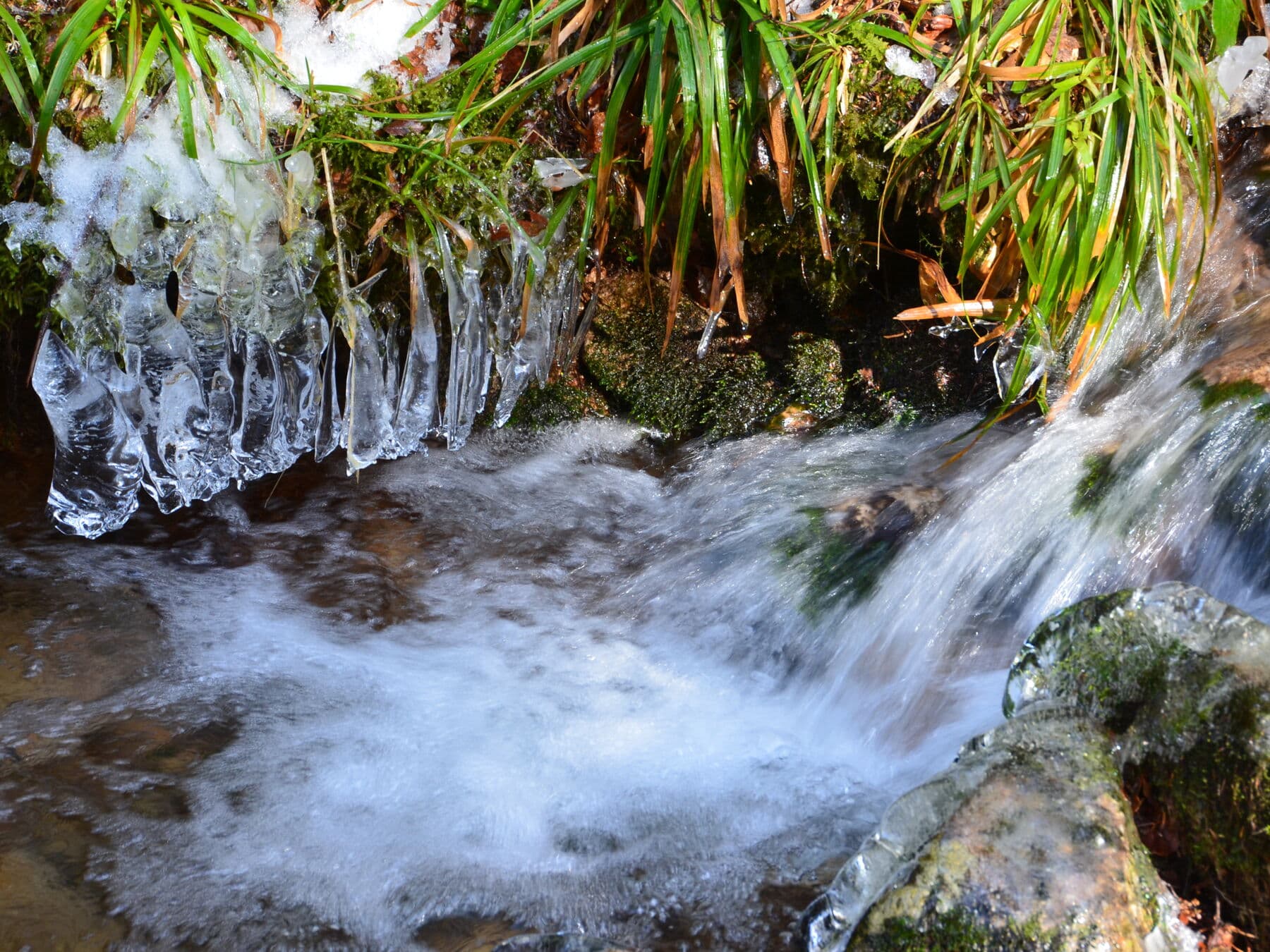 L’eau vive entre les glaces