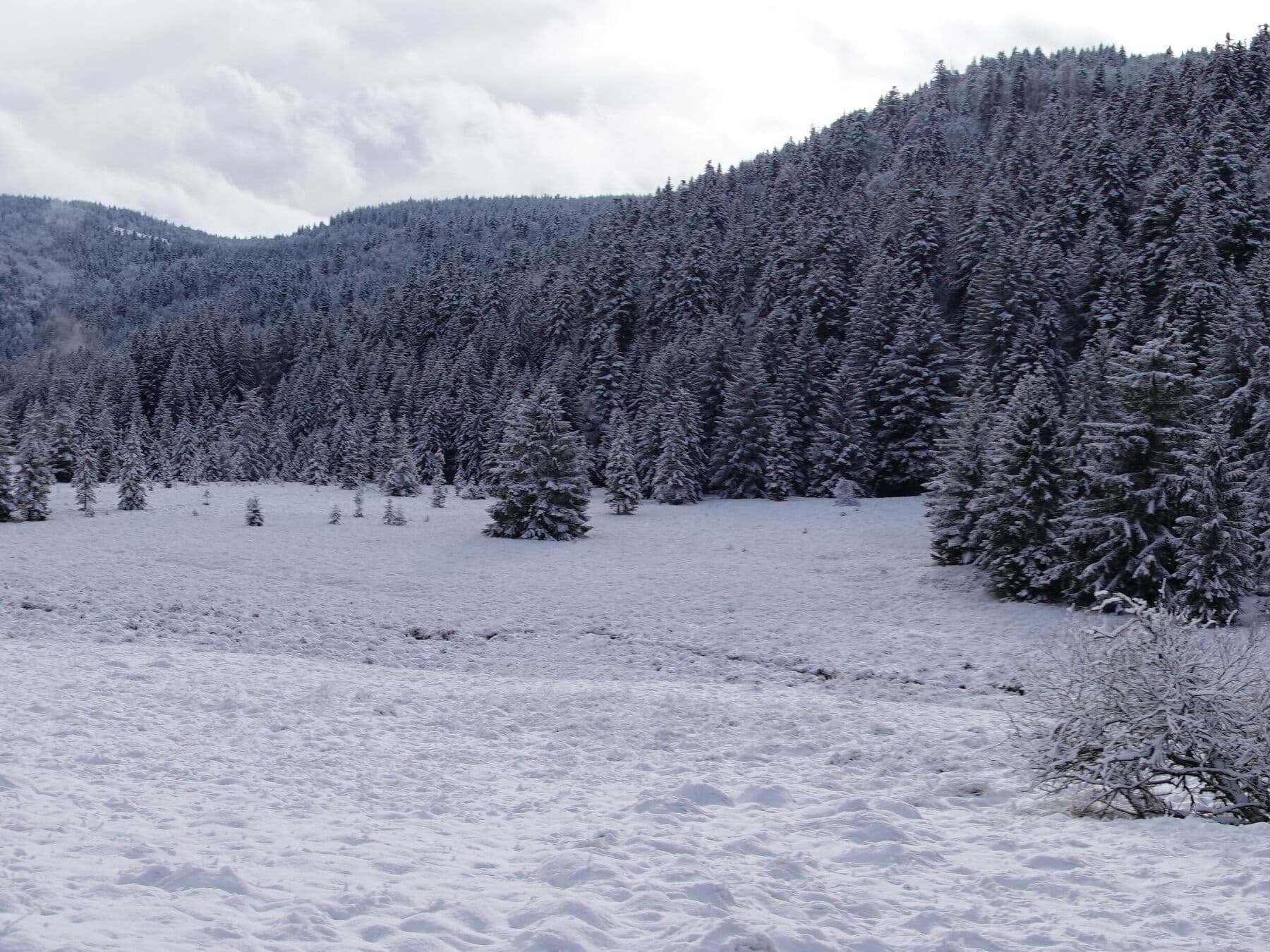 La prairie sous la neige