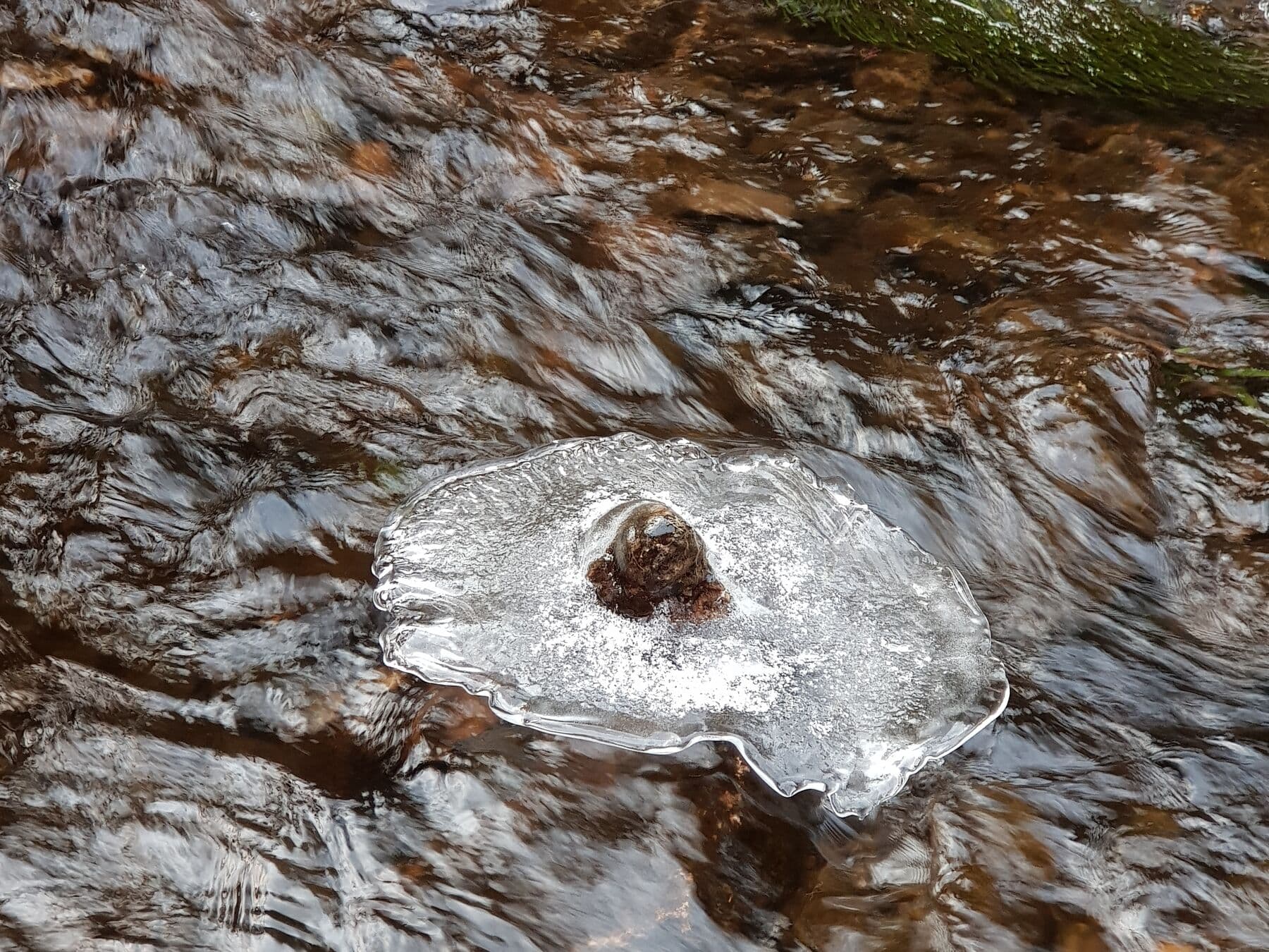Un disque de glace