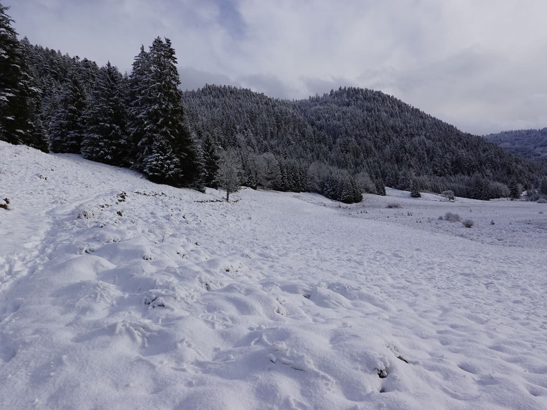 La trace du sentier