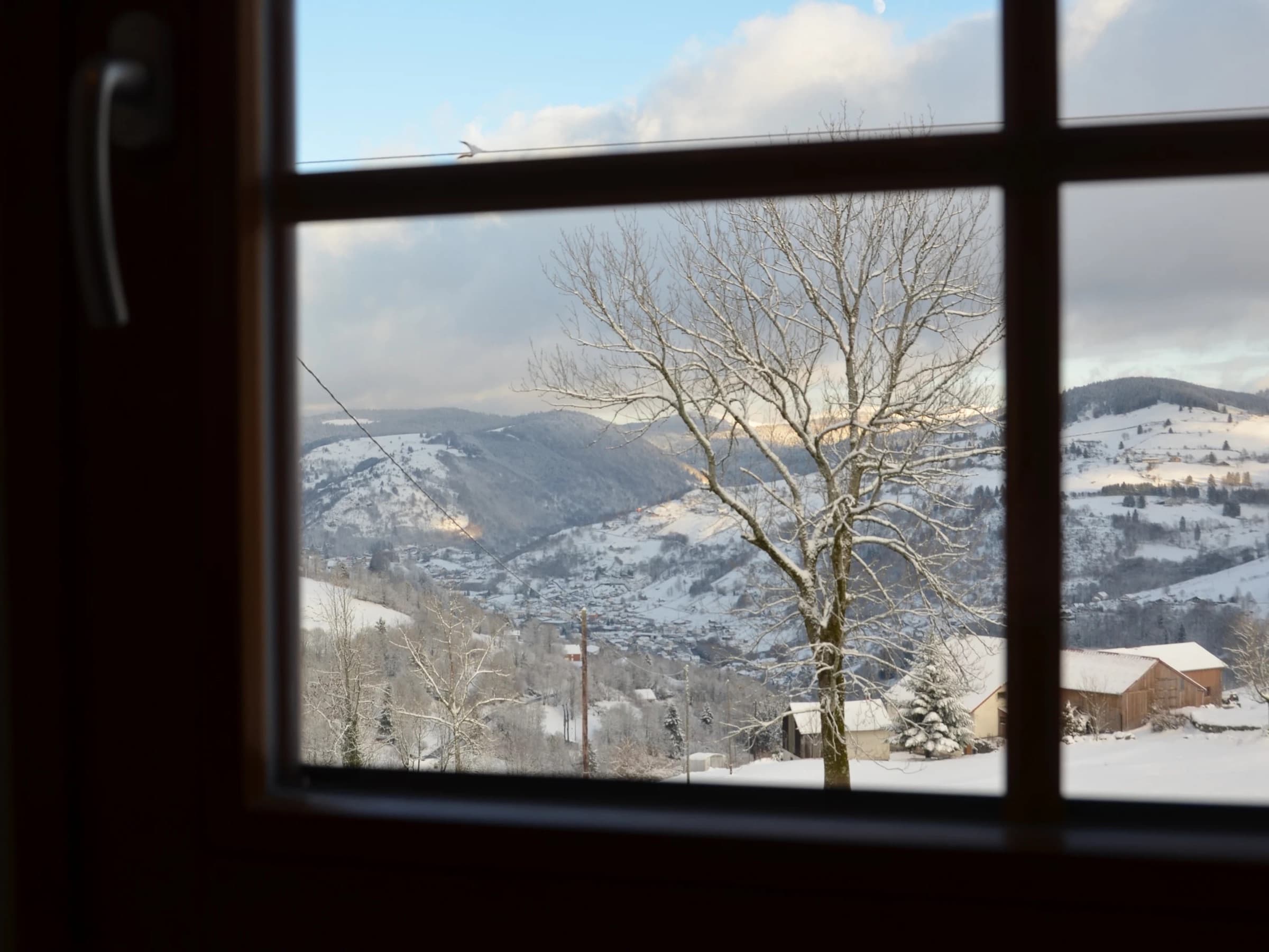 Vue depuis les hauteurs de La Bresse