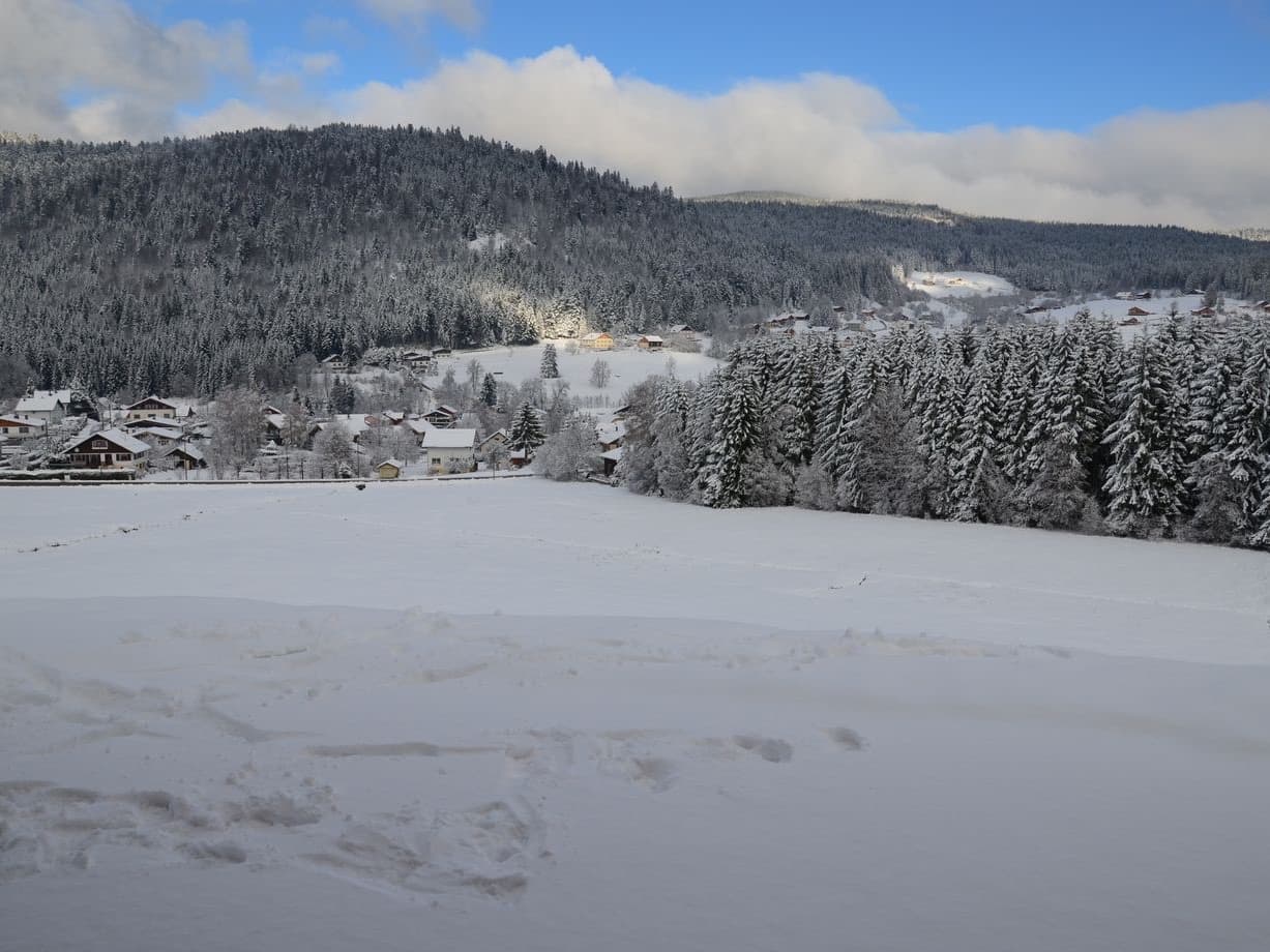Vue sur le village et la forêt depuis le chalet, en hiver